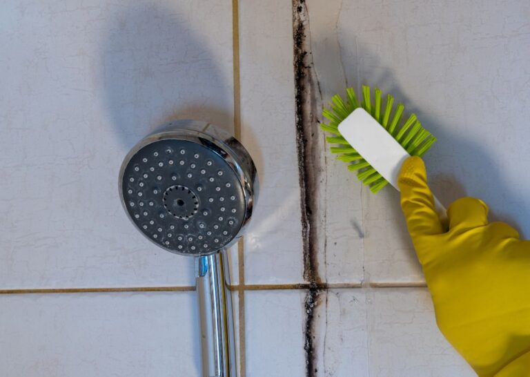 mold in bathroom
