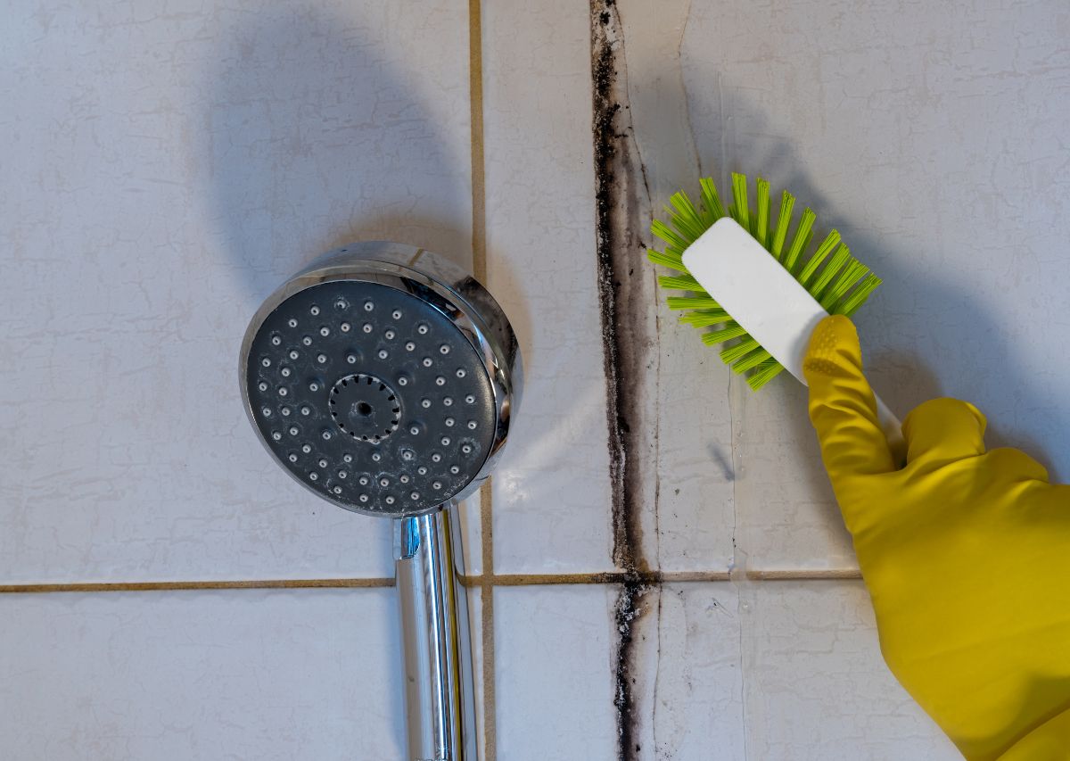 mold in bathroom